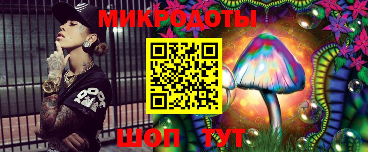 Ахтубинск  Псилоцибиновые грибы Psilocybe  Вход с VPN 
